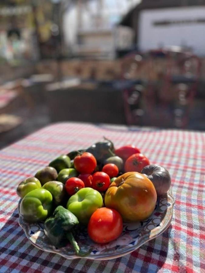 Vila Milica Poganovo Εξωτερικό φωτογραφία